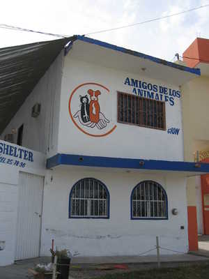 A view of the front of the Amigos de los Animales shelter in Mazatlan