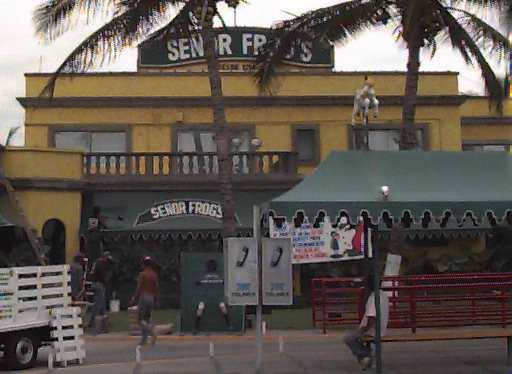 Senor Frogs Restaurant (24K)