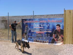 Bruno proudly showing off his banner for his dog school